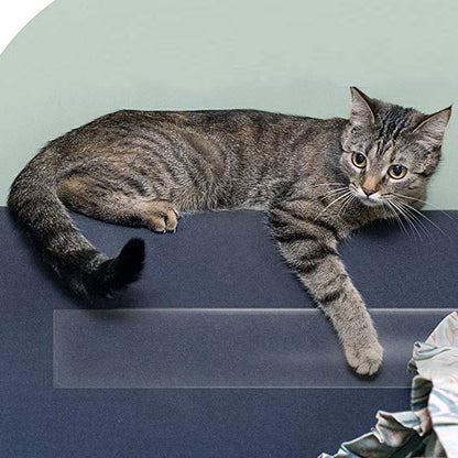 Cat Scratch Guard: Furniture-Safe Adhesive Shields for Sofas